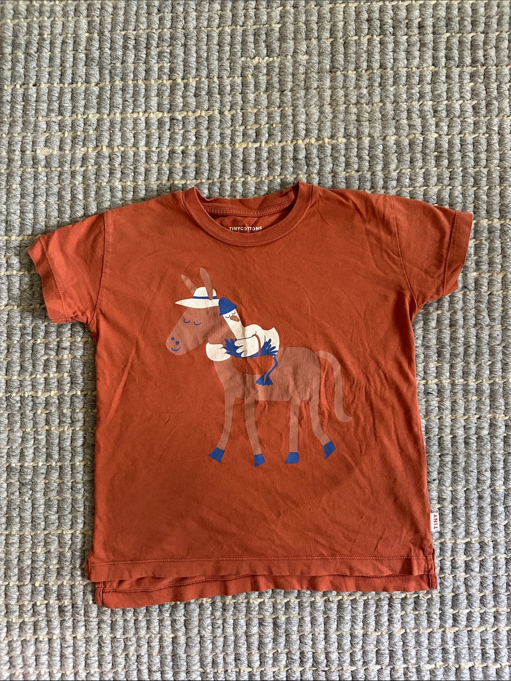 Tiny Cottons Kids' Rust Orange Horse Graphic Tee